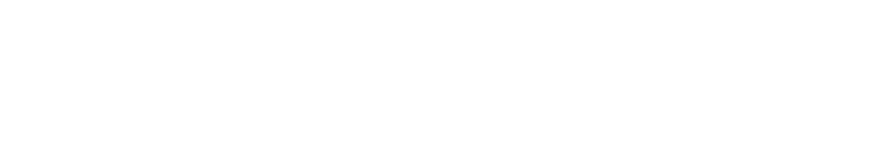N-Finders logo